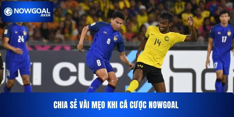 nowgoal chia se vai meo khi ca cuoc Chia sẻ vài mẹo khi cá cược NOWGOAL